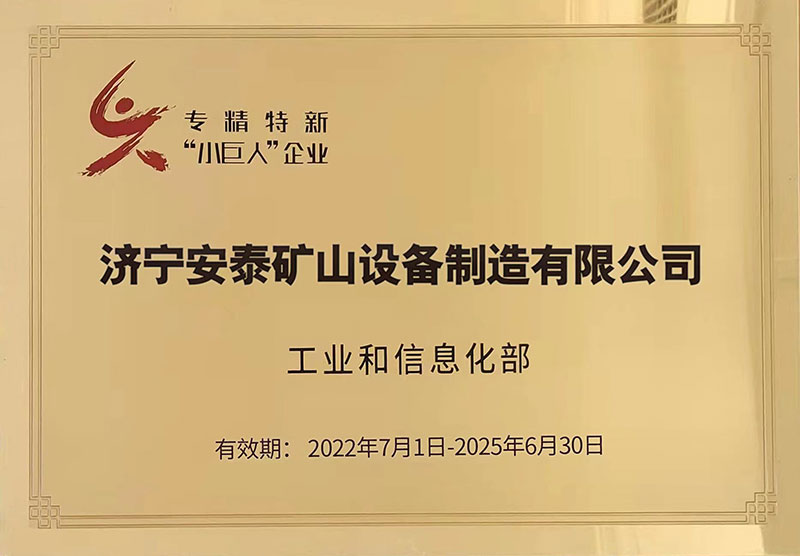 12專精特新“小巨人”企業(yè)