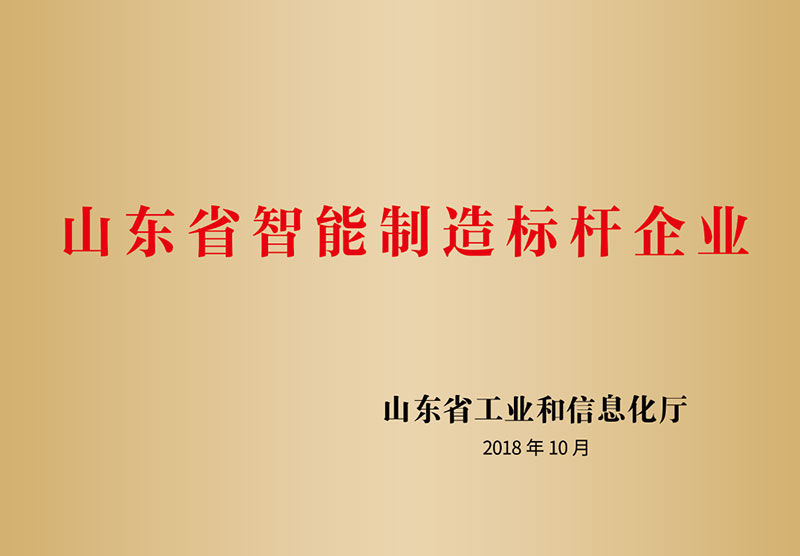 9山東省智能制造標桿企業(yè)
