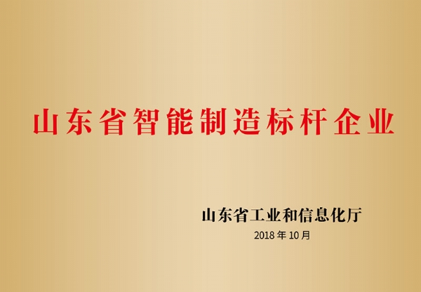 山東省智能制造標(biāo)桿企業(yè)